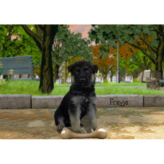 Freyja - Female