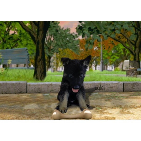 Loki - Male