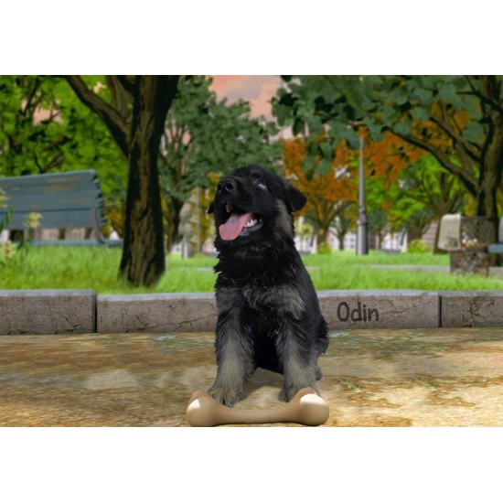 Odin Male
