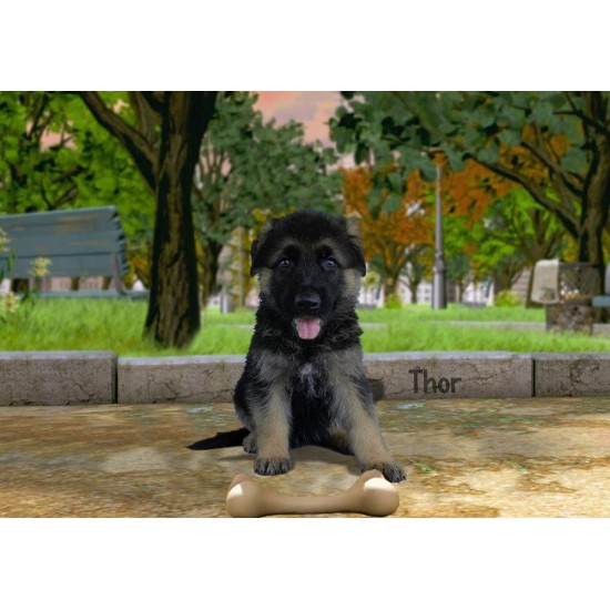 Thor Male
