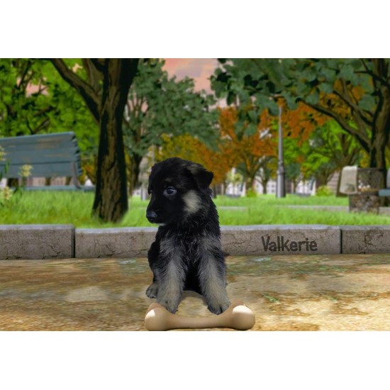 Valkerie - Female
