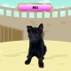 Mila - Female - Pink Collar