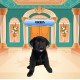 Tiberius - Male - Blue Collar